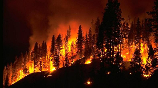 消防知識 丨 5種火災(zāi)不能用水撲救，你知道嗎？