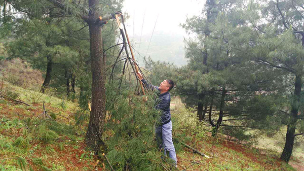 貴州開(kāi)元員工巡查高壓線路紀(jì)實(shí)