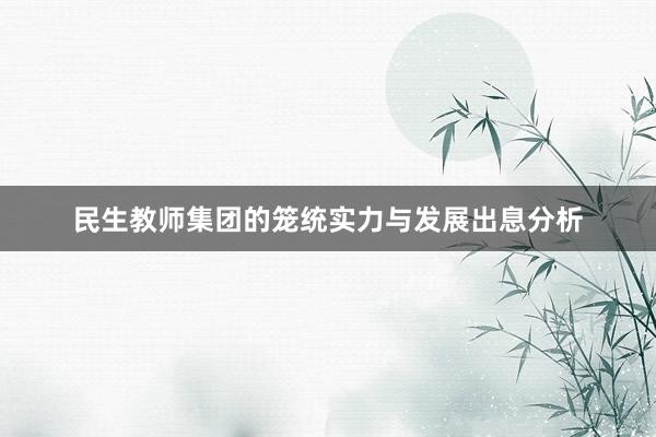 民生教师集团的笼统实力与发展出息分析